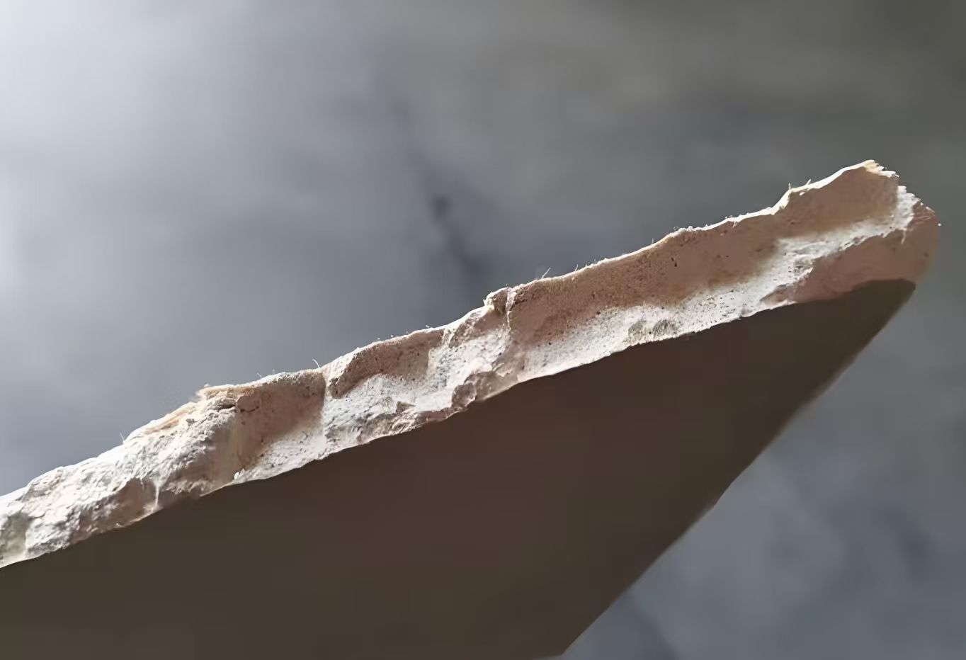 石膏板芯材截面实拍